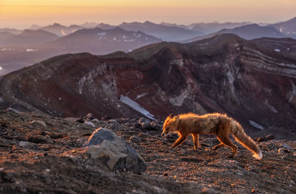 Photograph by Roman Vorobyev