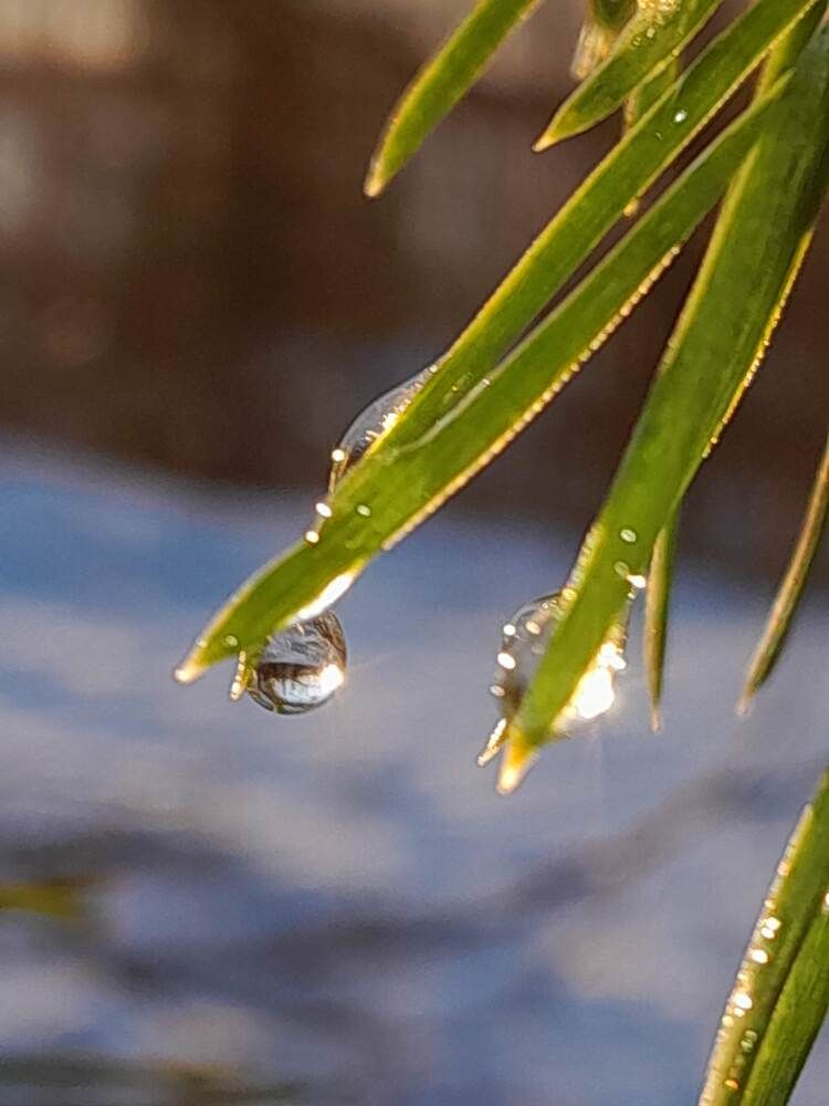 Photograph by Виталий Глазачев