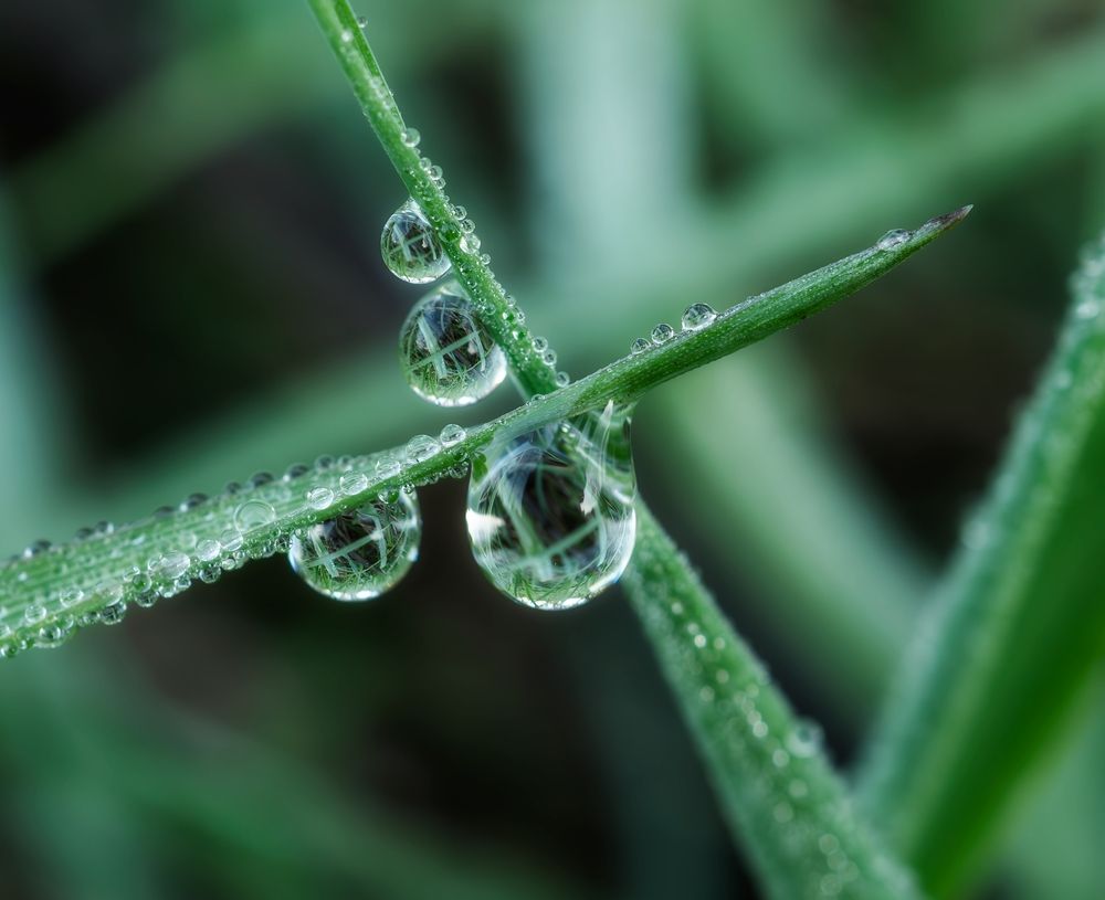Photograph by Елена Харитонова