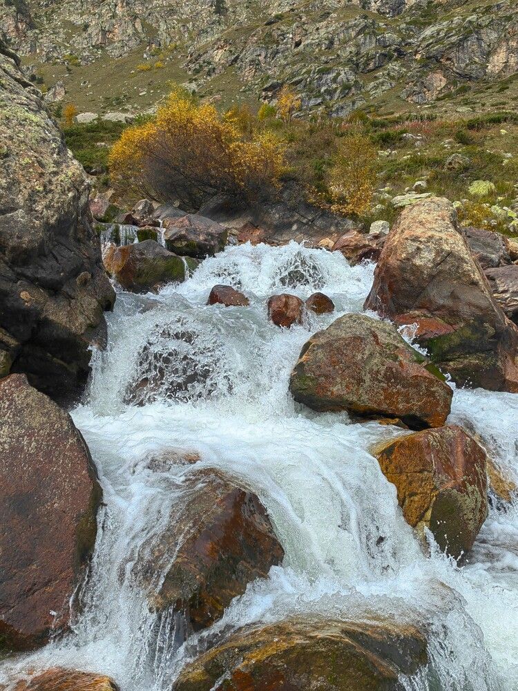Photograph by Чкареули Светлана