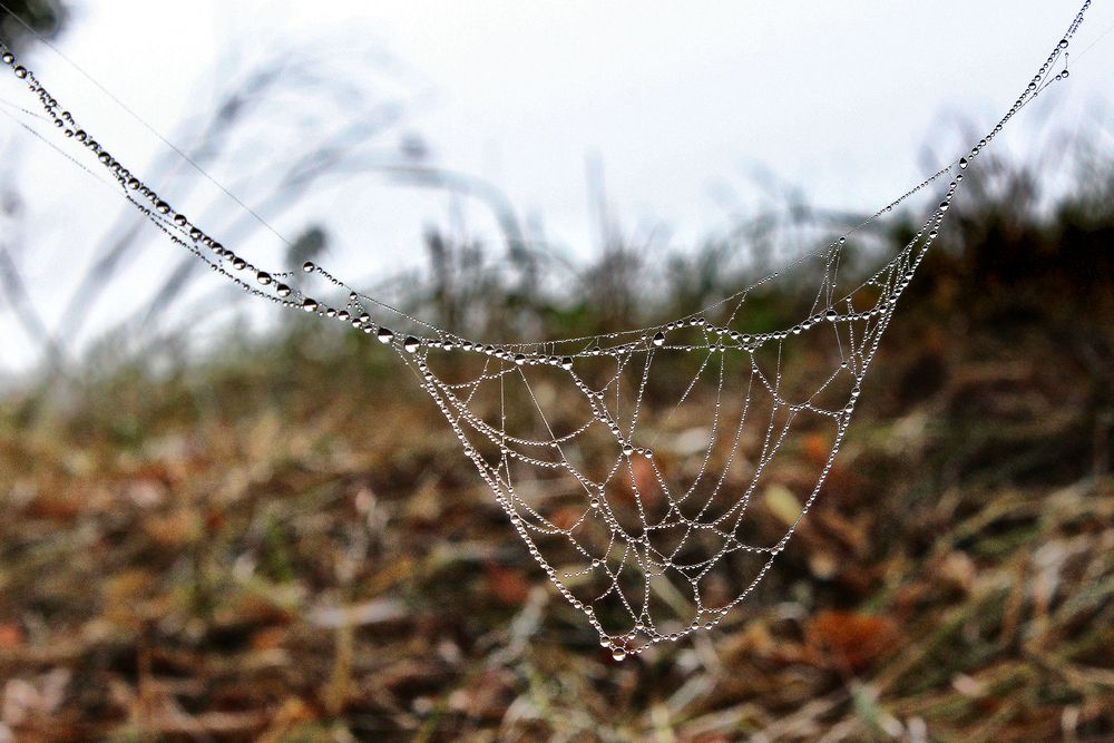 Photograph by Vitaliy Saposhnikov