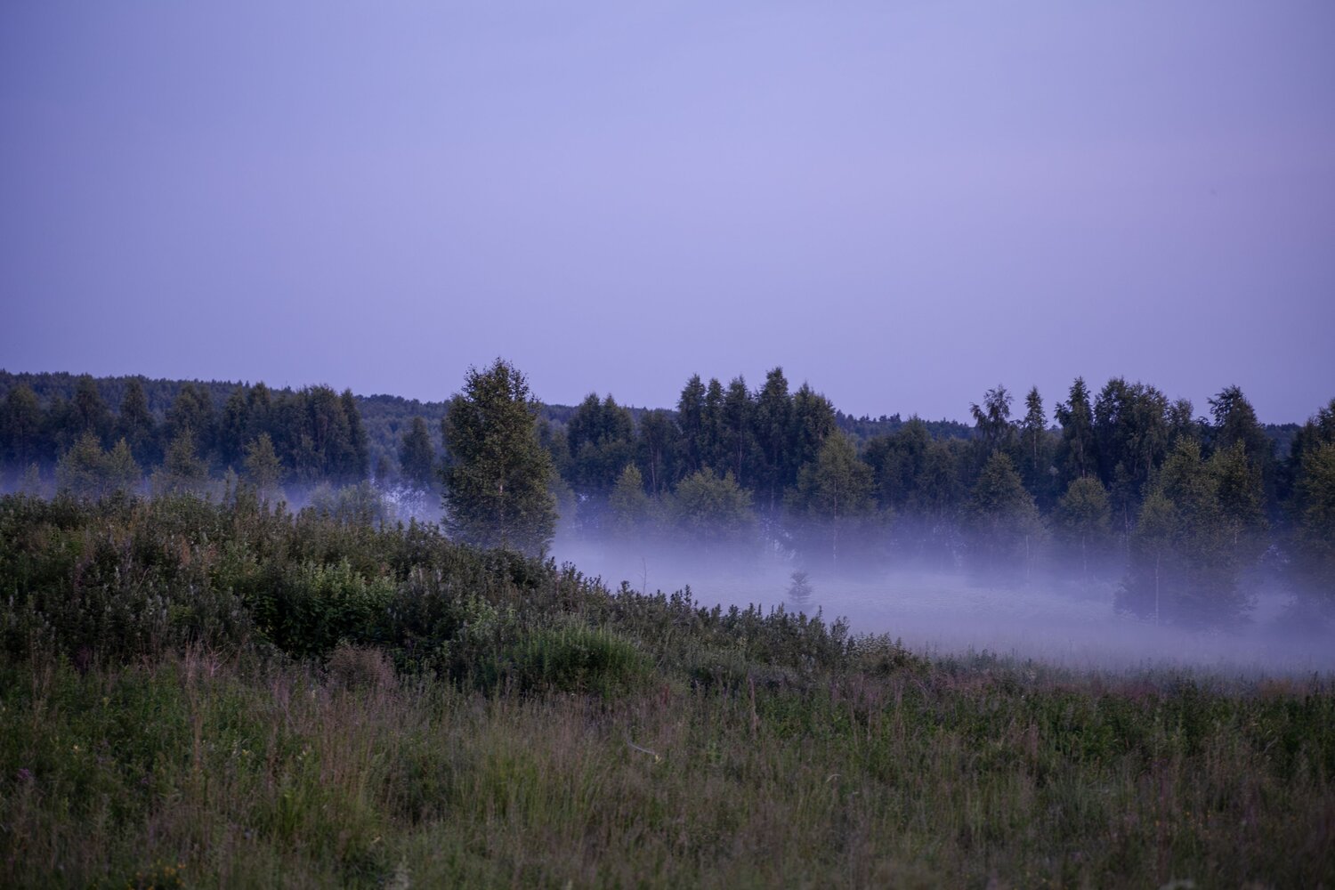 Photo #13569857