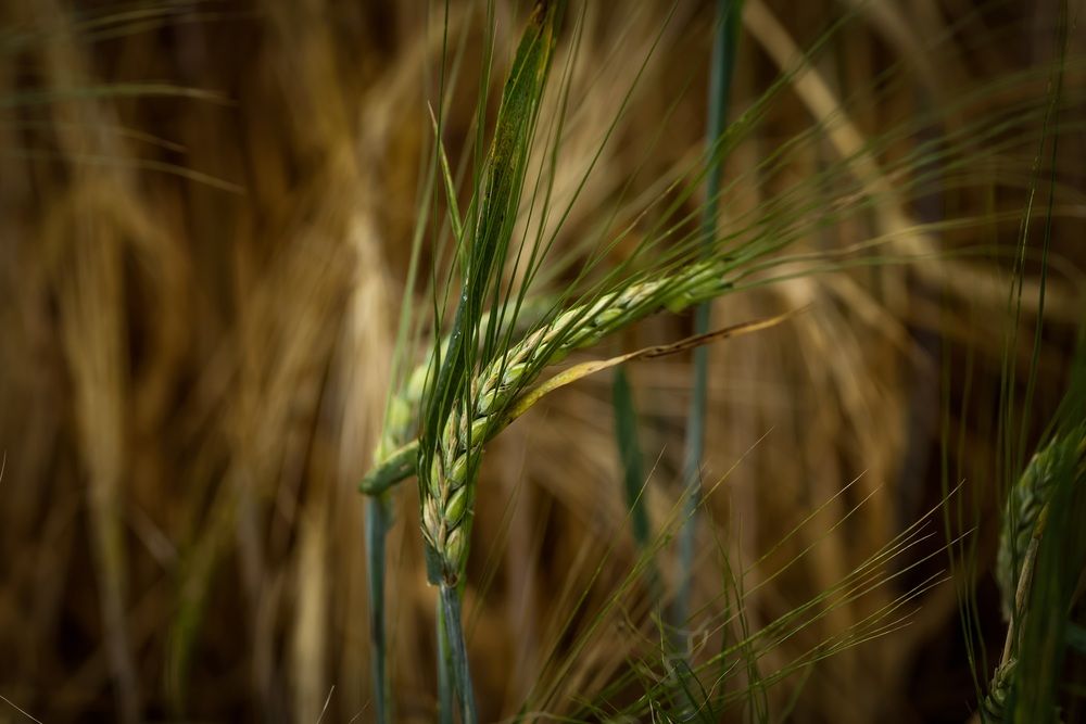 Photograph by Lebedeva Vasilisa