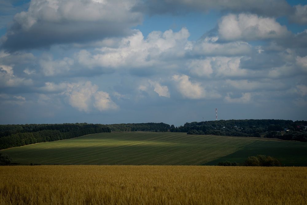 Photograph by Lebedeva Vasilisa