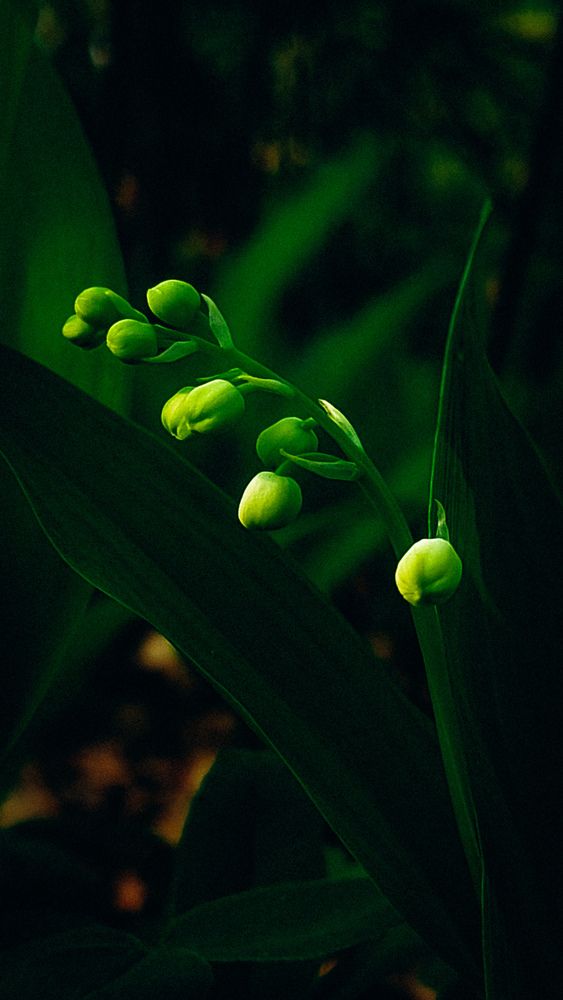Photograph by Людмила Горячева