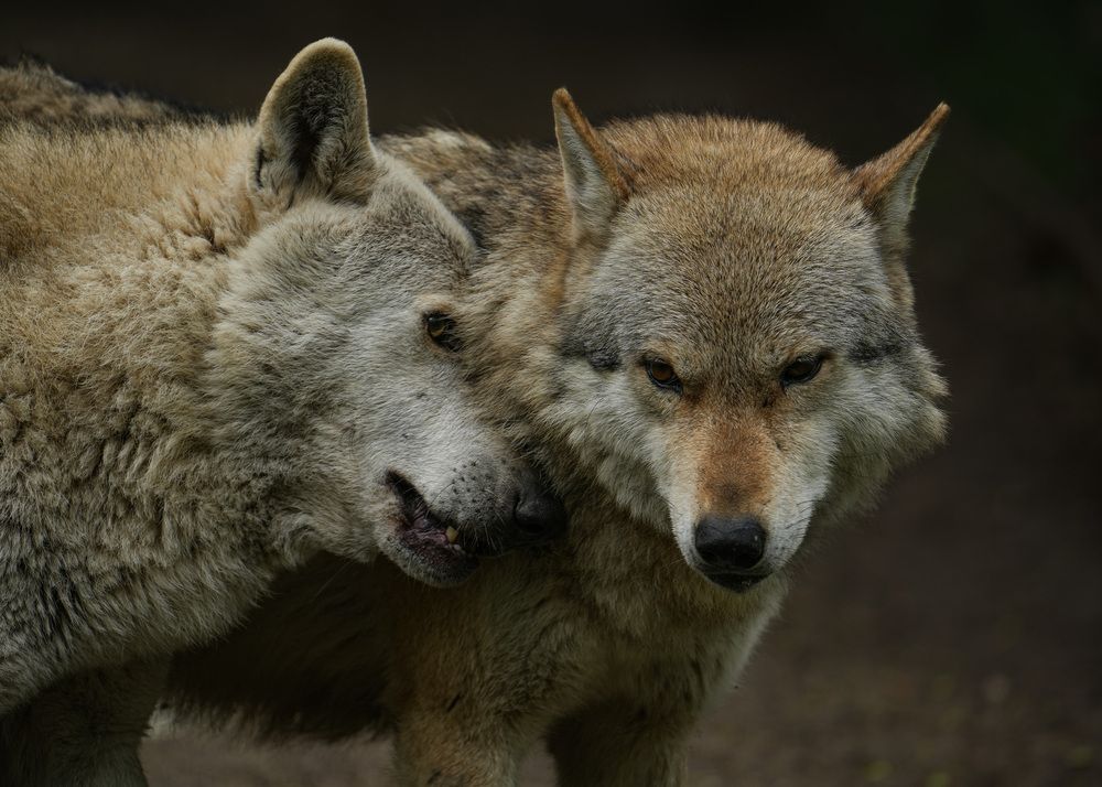 Photograph by Юрий Юрьевич Подгрушный