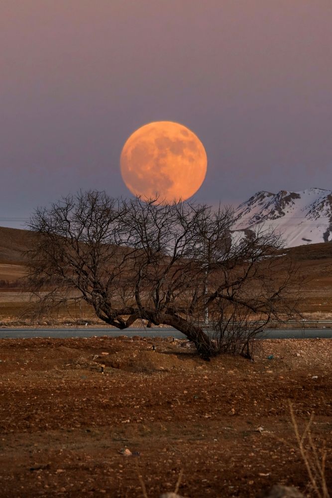 Photograph by Hamid espanani