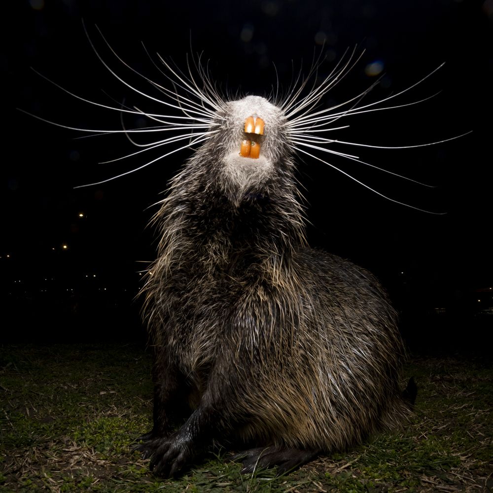 Photograph by Flora Jakab