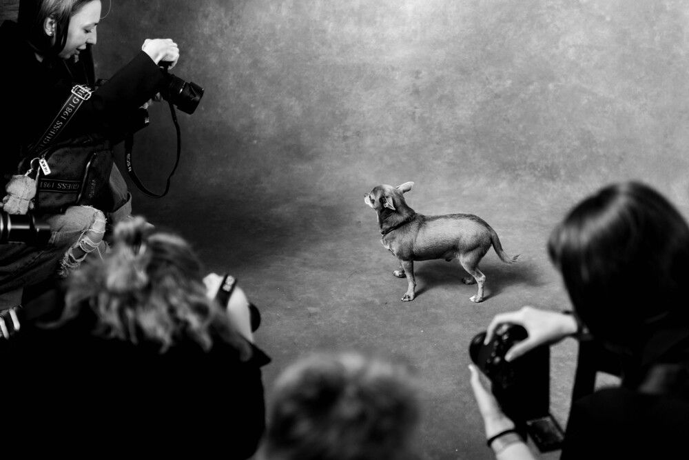 Photograph by Анастасия Воропаева
