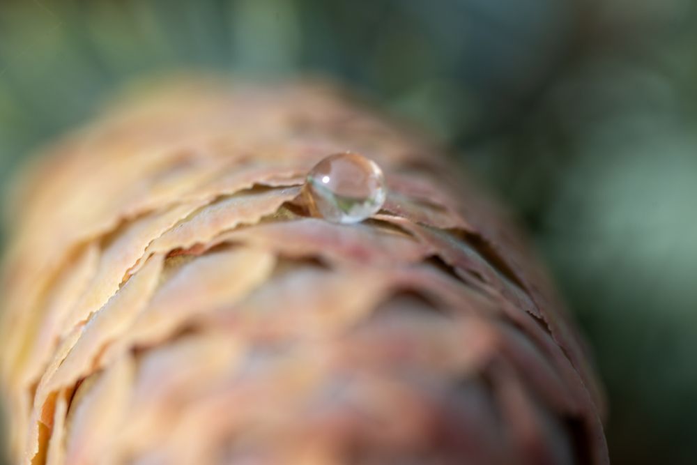 Photograph by Даниил Пузаков
