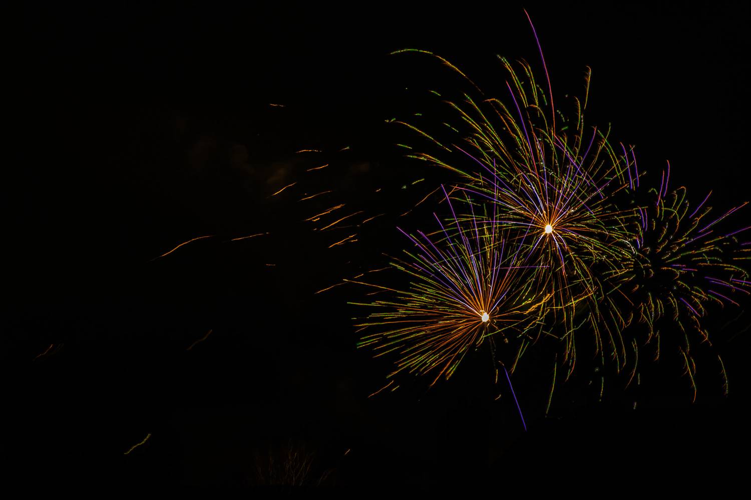 Photo #13570424