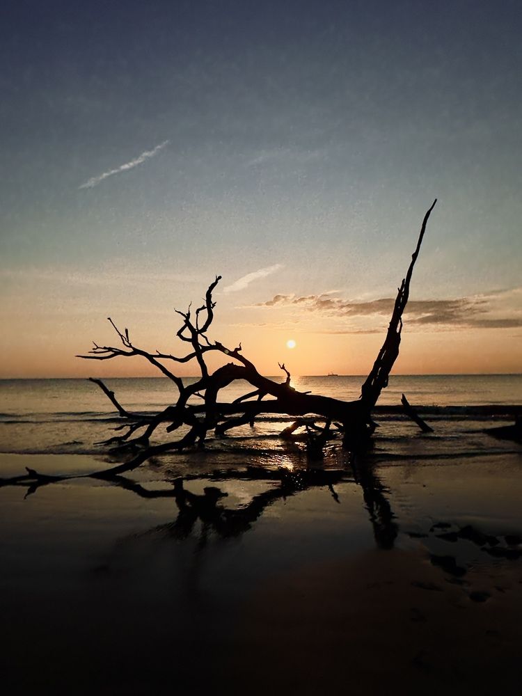 Photograph by Preethy Ganesan