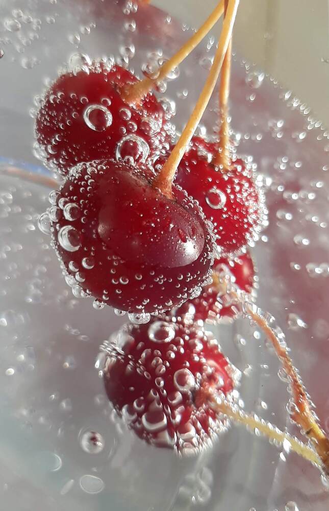 Photograph by Анна Хмелькова