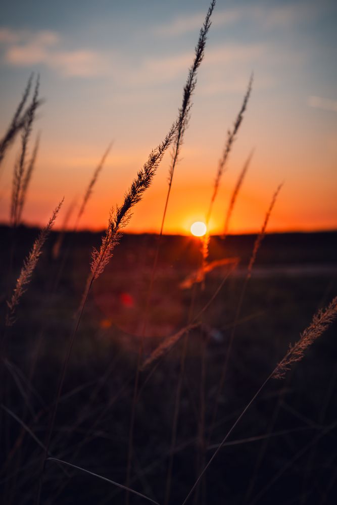 Photograph by Айдар Ибрагимов