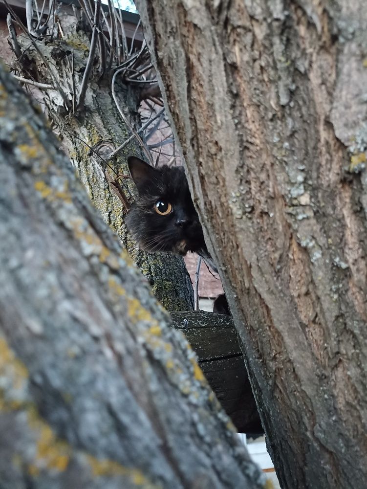 Photograph by Мария Симоненко