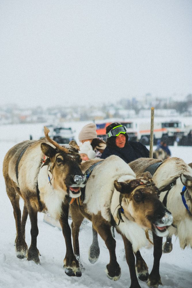 Photograph by Дмитрий Шевченко