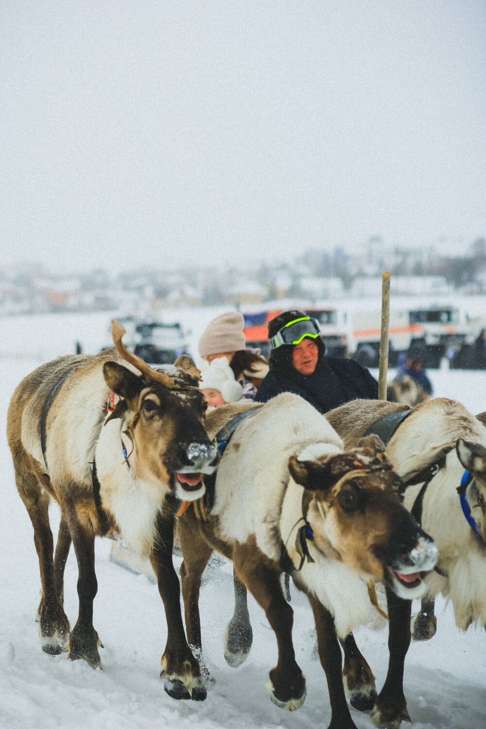Photo #13570834