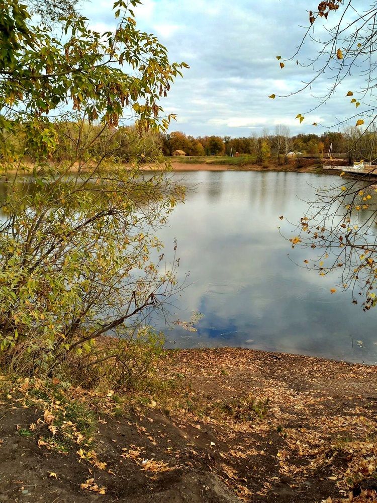 Photograph by Сауия Назмутдинова