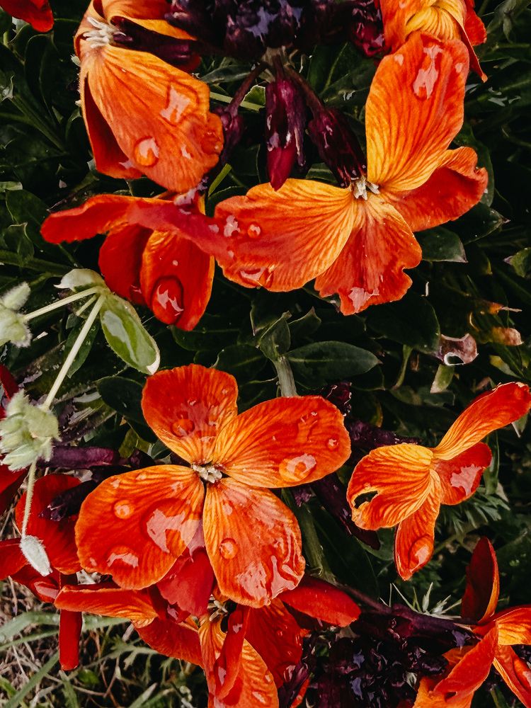 Photograph by Oksana Yurasova