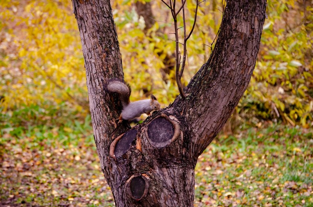 Photograph by Любовь Бусова