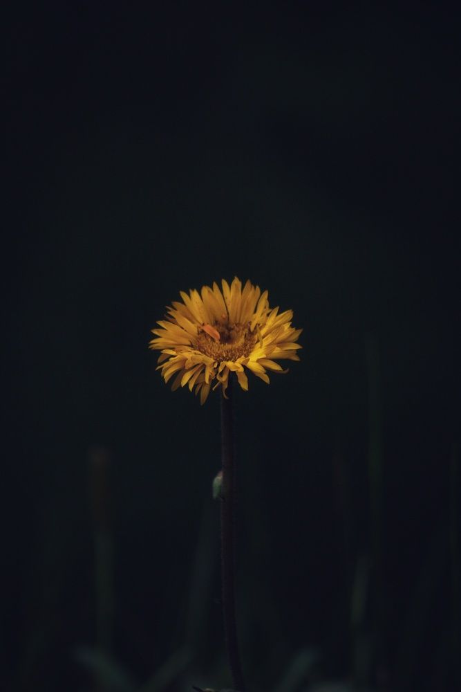 Фотография автора Miguel Alejandro Soriano Ruiz