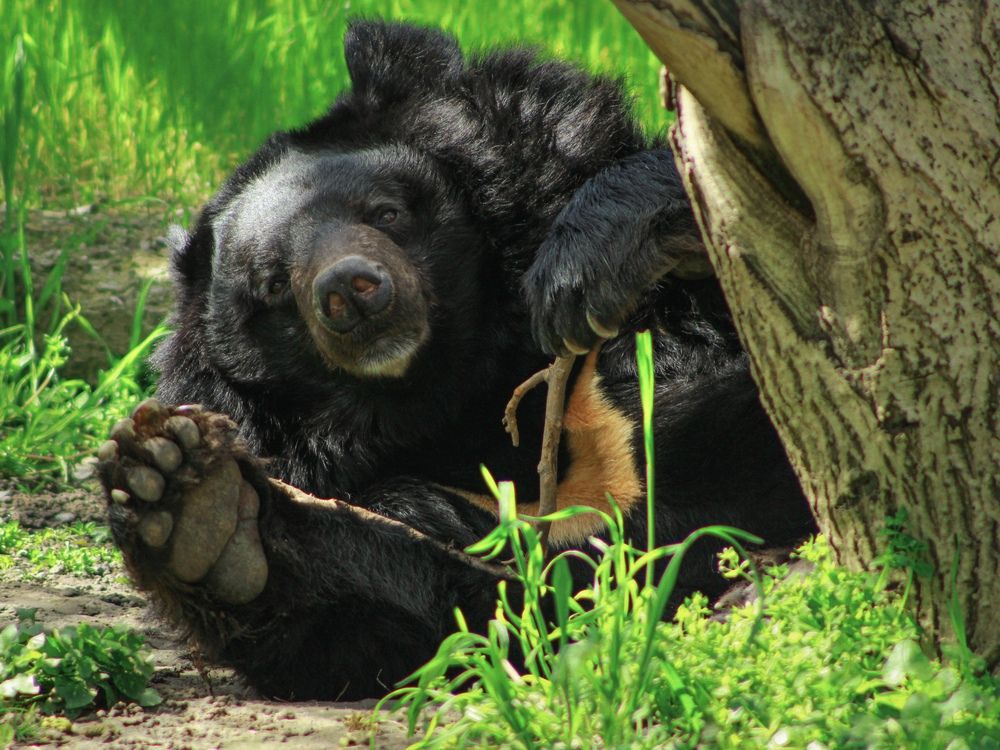 Photograph by Марина Фомичева