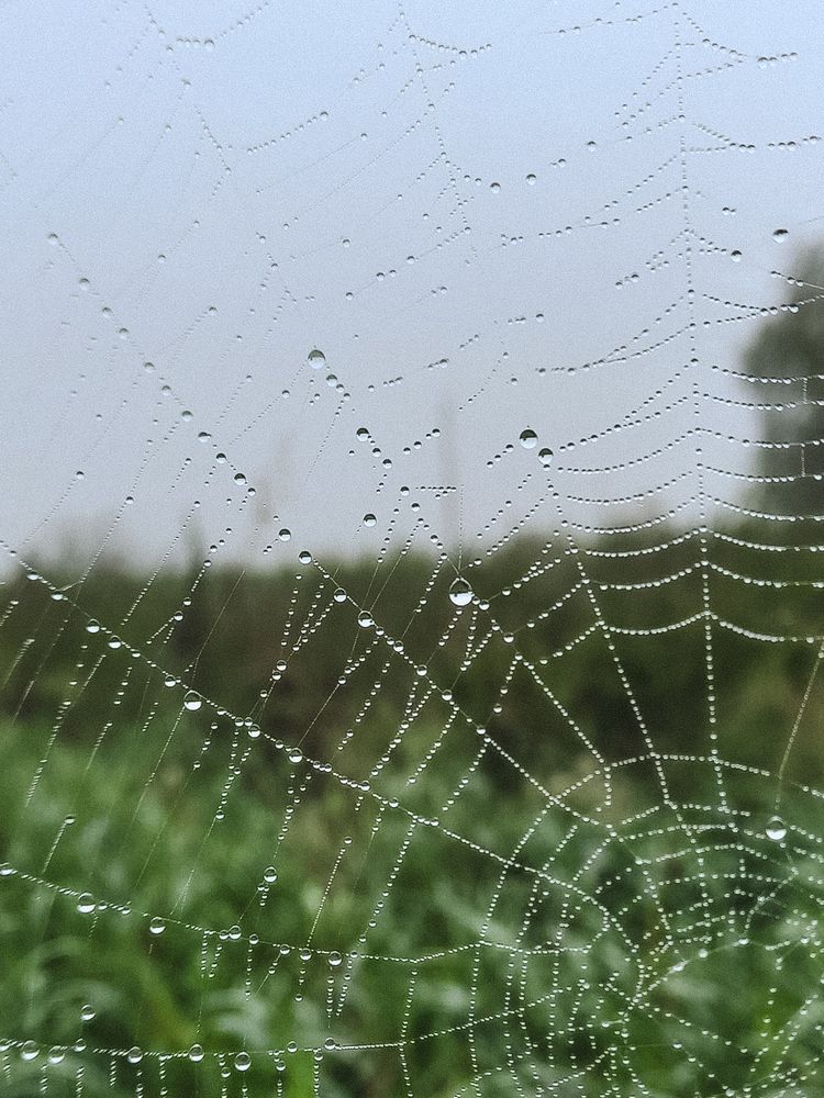Photograph by Екатерина Вакалова