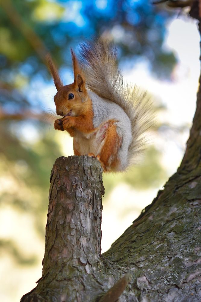 Photograph by Ирина Ященко