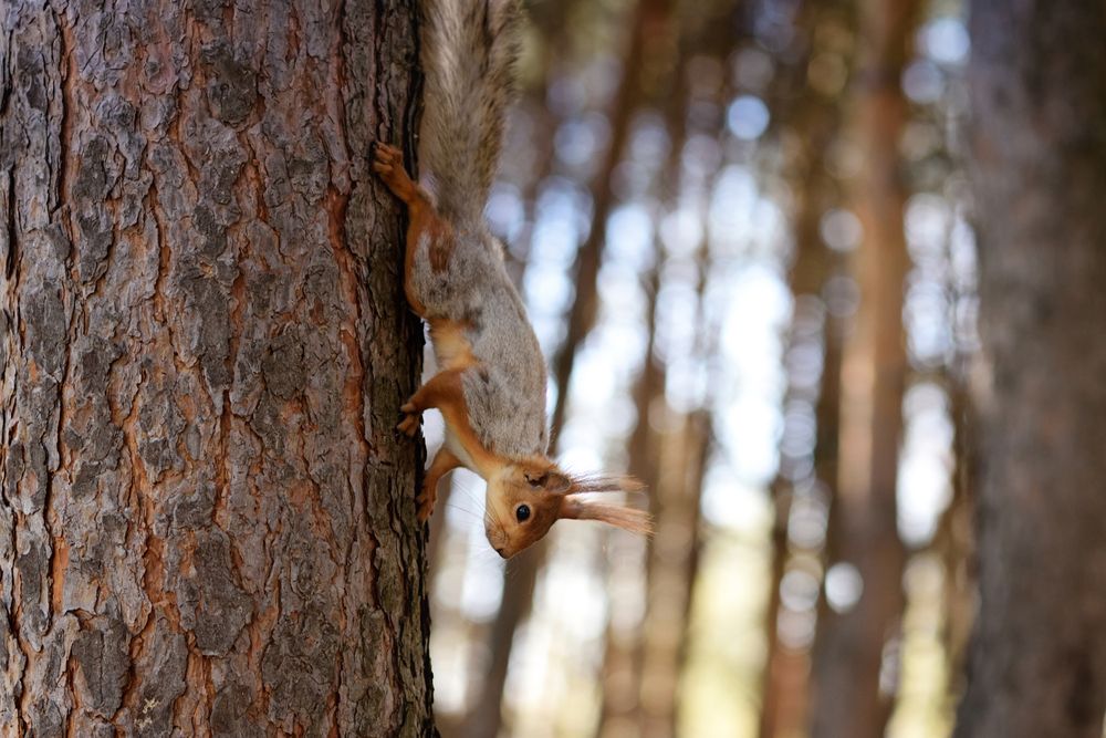 Photograph by Ирина Ященко