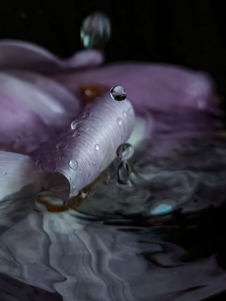 Photograph by Людмила Емельянчикова