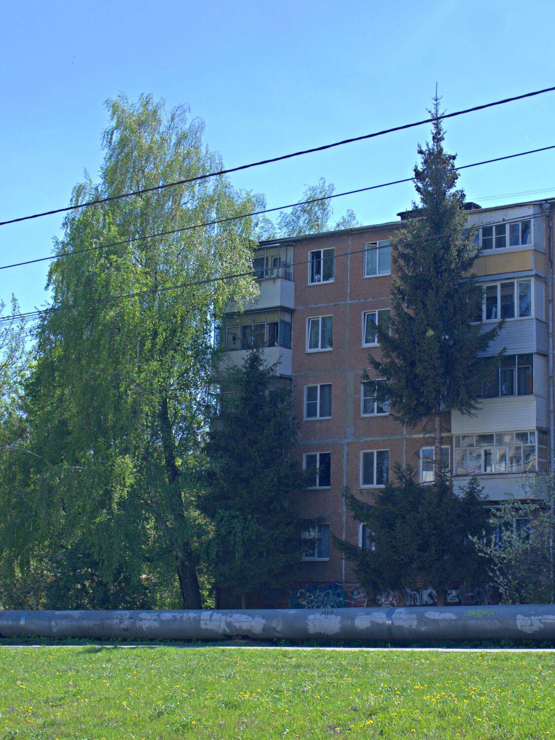 две подружки