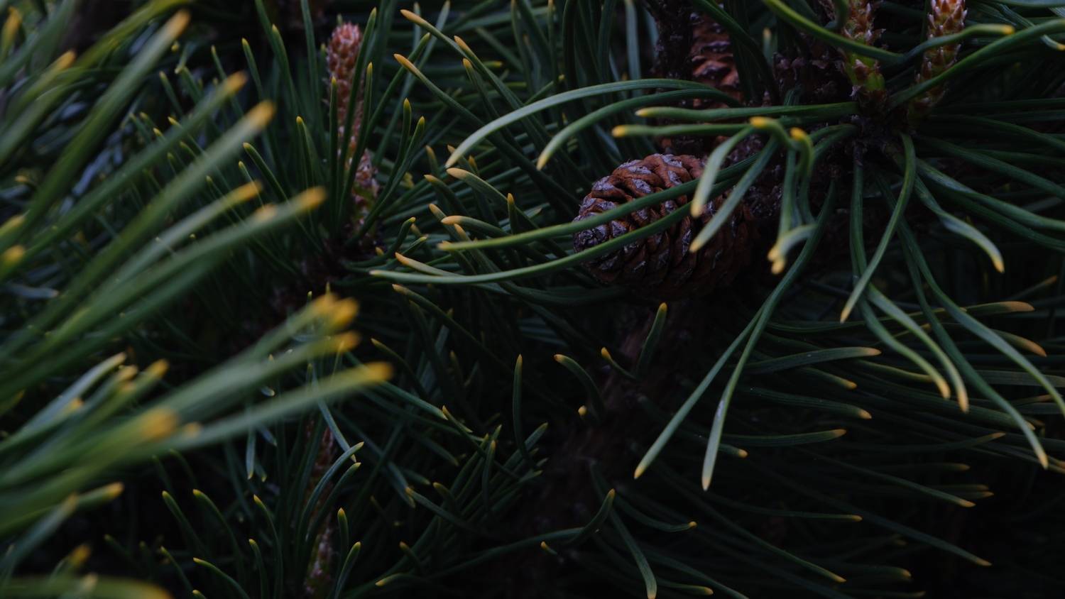 Photo #13571618