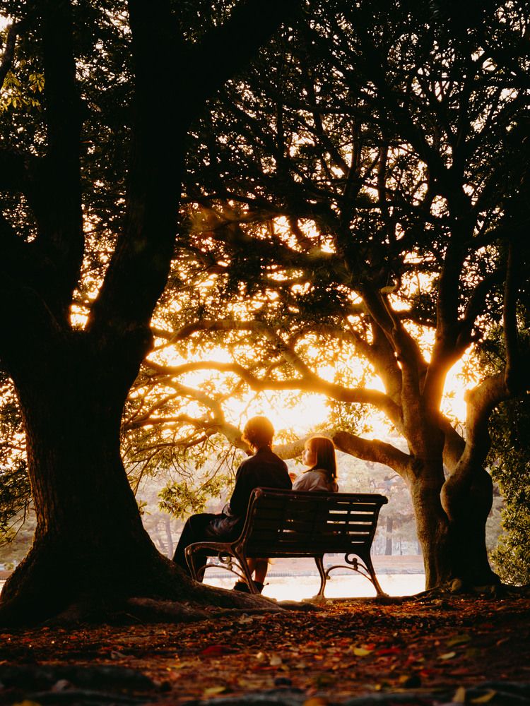 Фотография автора Saenko Vladimir