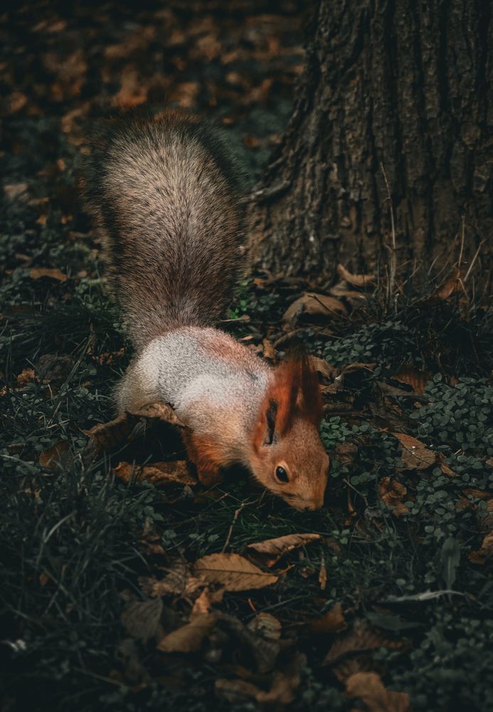 Photograph by Виктор Тужиков