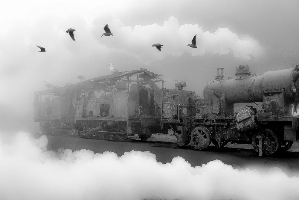 Photograph by Carmem D` Luca