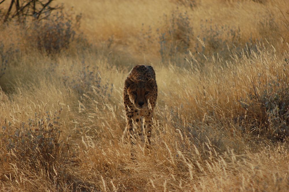 Photograph by Марина Кулагина