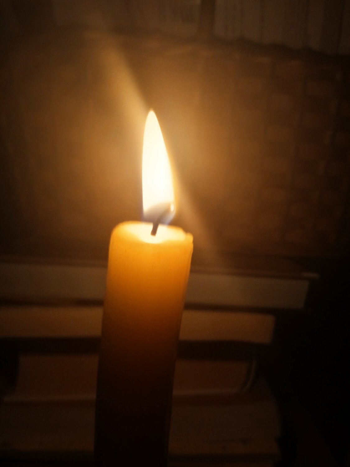 Photo #13572216