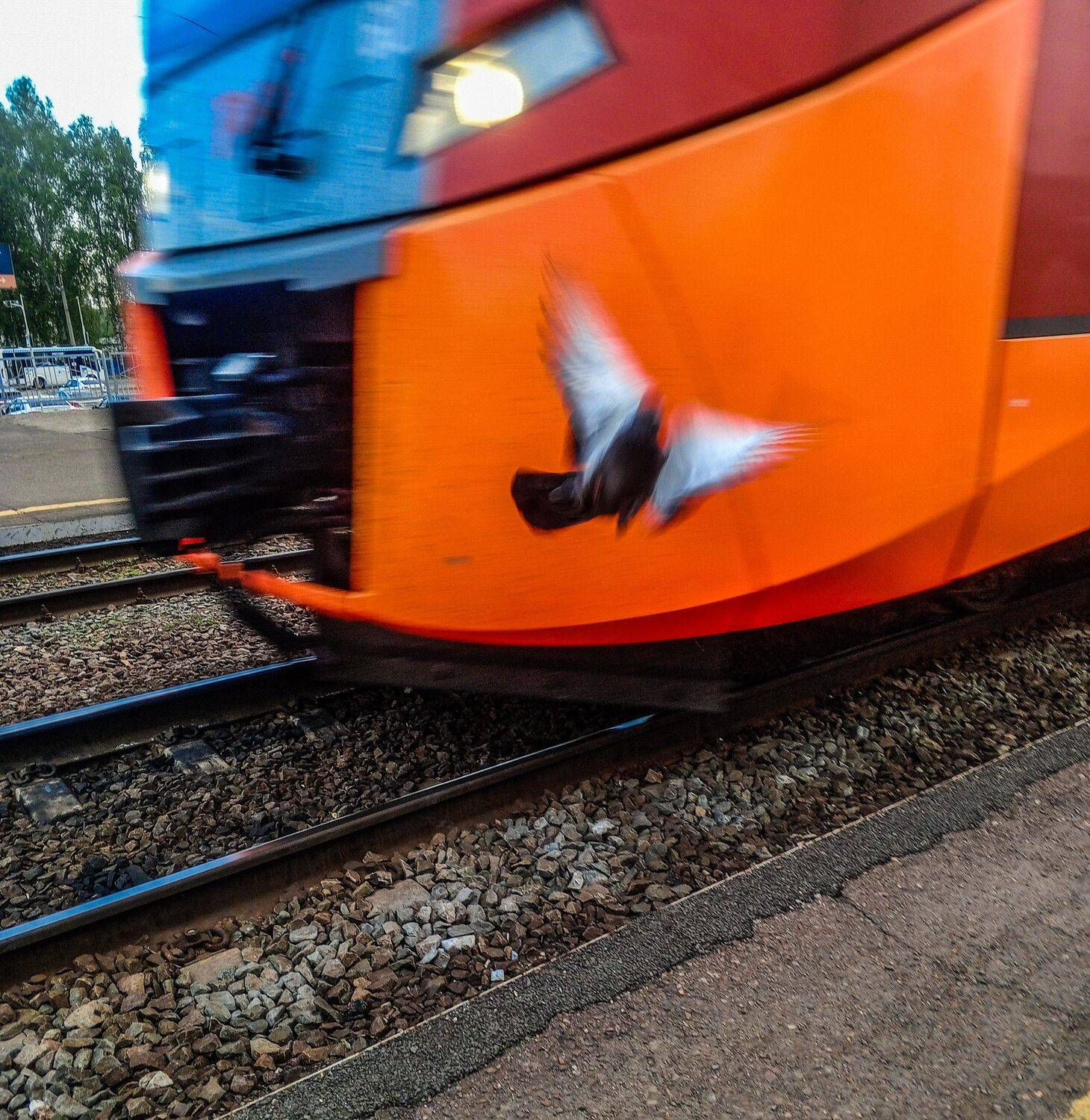 Photo #13572219