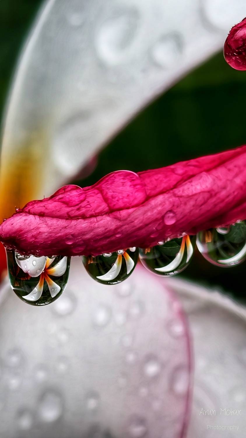 A Symphony in Droplets