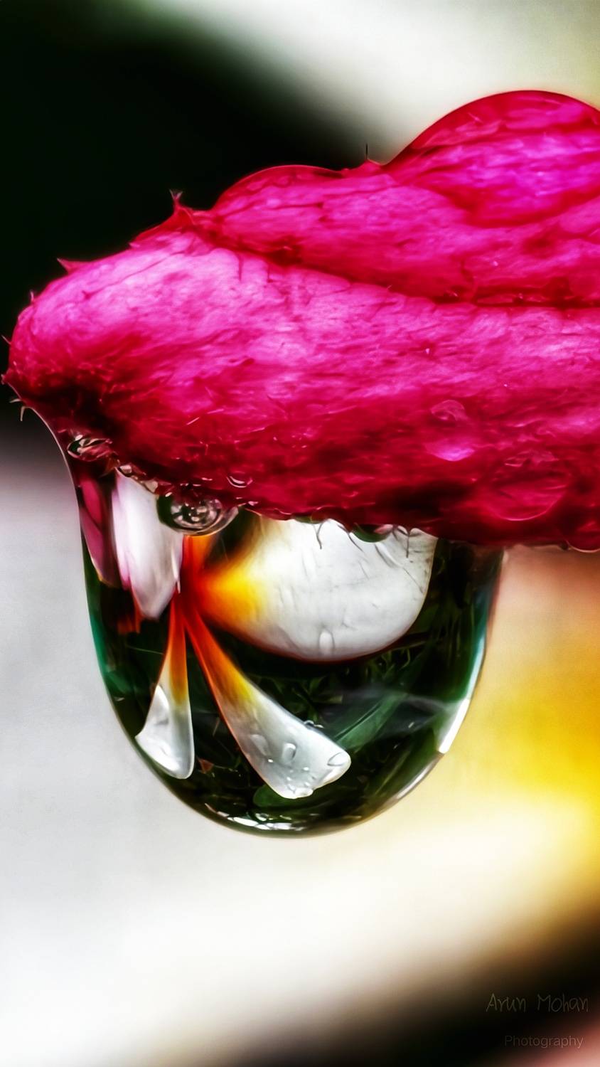 The art of nature is written in reflections.