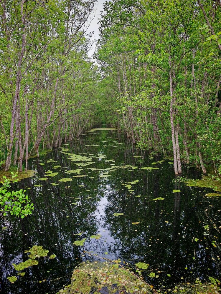 Photograph by Дарья Кондрашонок