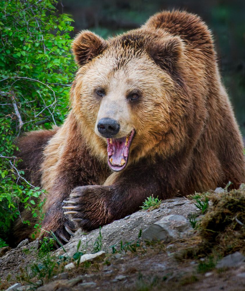 Photograph by Владимир Сковородников