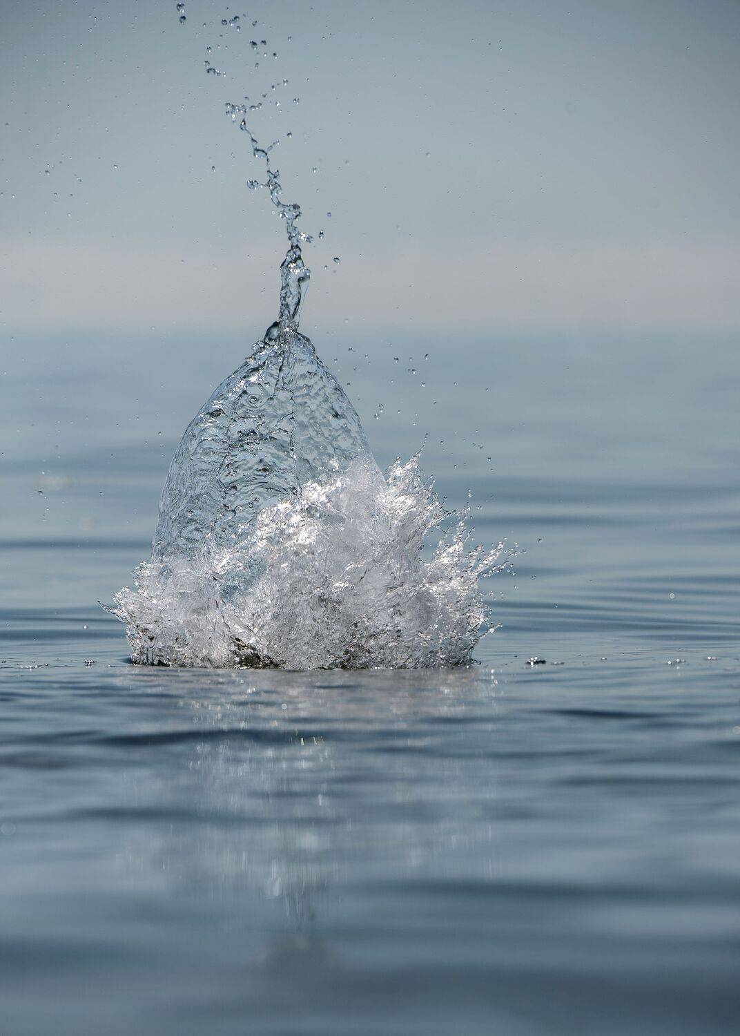 Photo #13572476