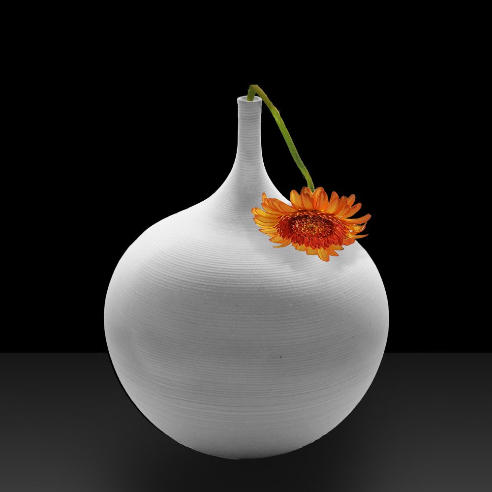 Vase with flower
