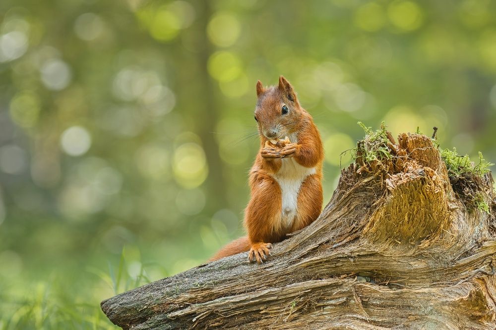 Photograph by Petra Navrátilová