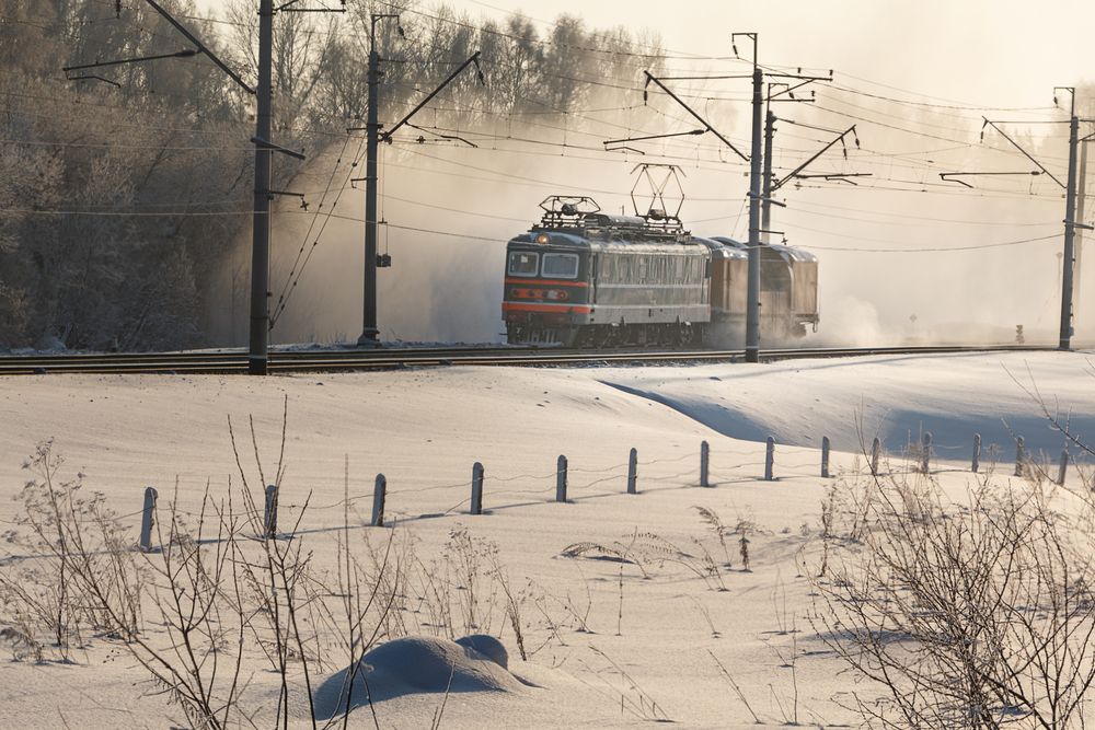 Photo #13572949