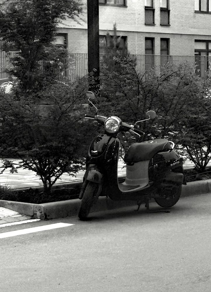 Photograph by Маргарита Лаптева