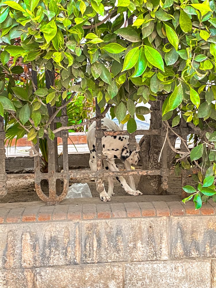 Photograph by Mennatullah Dakhly