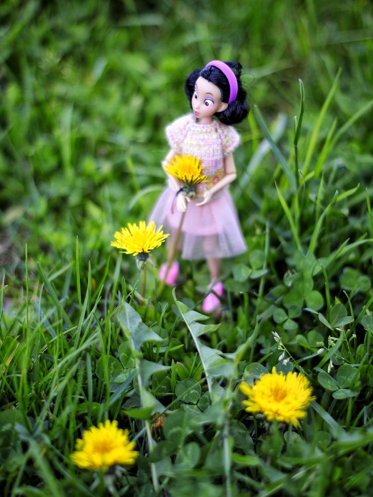 Photograph by Михаил Еремеев