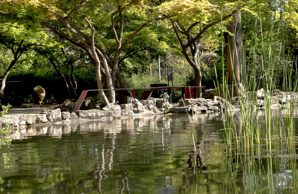 Serene Japanese Garden Pond with Water Reflections